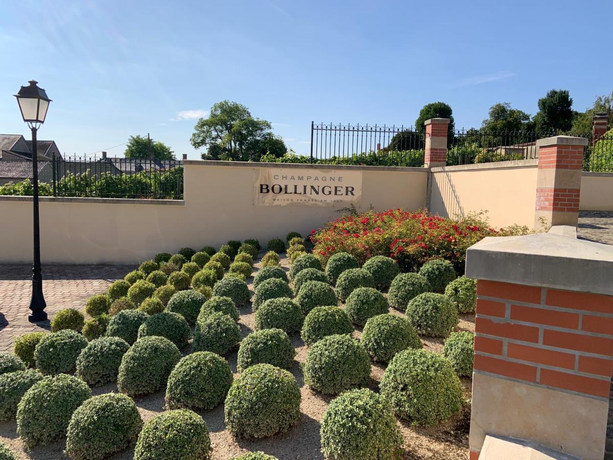 Champagne & Grand Cru Apartment Ay-Champagne Bagian luar foto